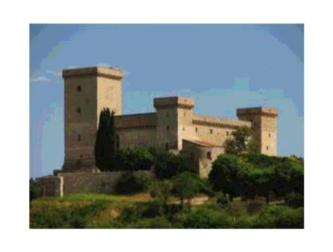 Anteprima foto 8 - Casa indipendente in Vendita a Narni (Terni)