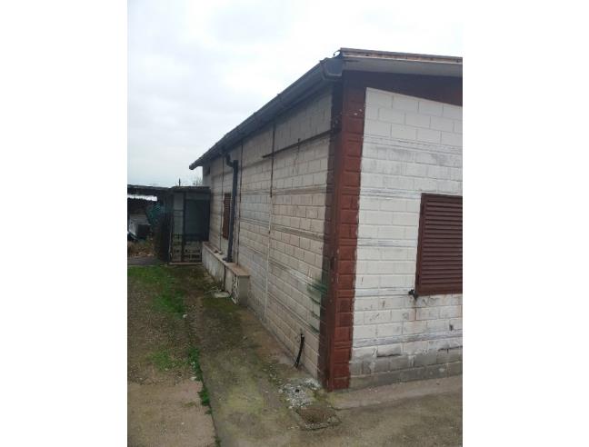 Anteprima foto 2 - Casa indipendente in Vendita a Nettuno (Roma)