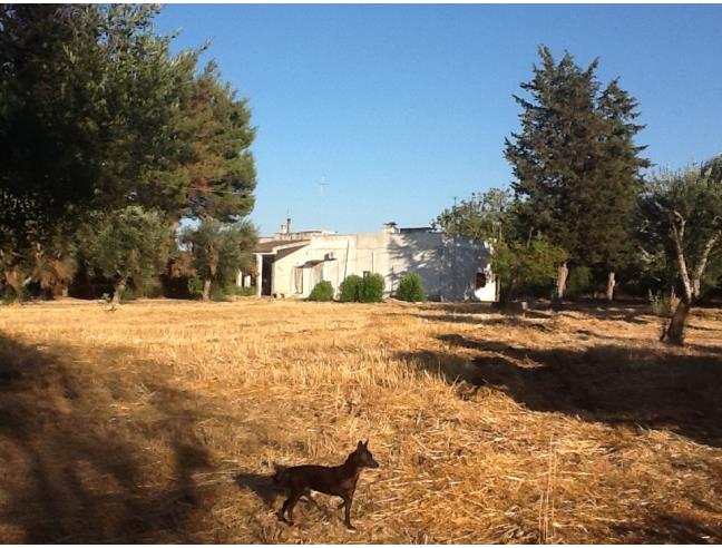 Anteprima foto 8 - Casa indipendente in Vendita a Neviano (Lecce)