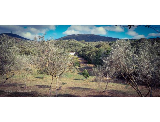 Anteprima foto 1 - Casa indipendente in Vendita a Olbia (Olbia-Tempio)