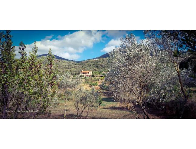 Anteprima foto 2 - Casa indipendente in Vendita a Olbia (Sassari)