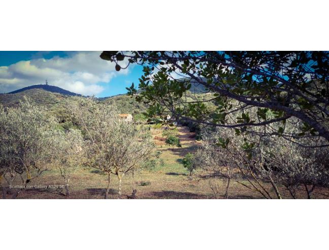 Anteprima foto 3 - Casa indipendente in Vendita a Olbia (Sassari)