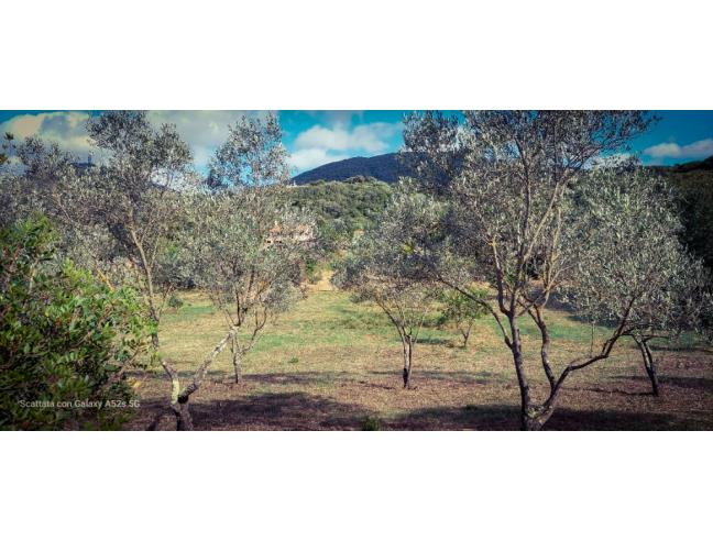 Anteprima foto 4 - Casa indipendente in Vendita a Olbia (Sassari)