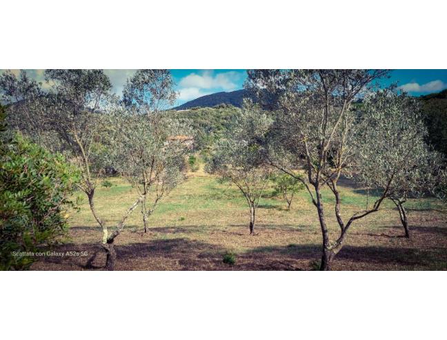 Anteprima foto 5 - Casa indipendente in Vendita a Olbia (Sassari)