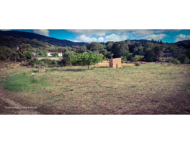 Anteprima foto 7 - Casa indipendente in Vendita a Olbia (Sassari)