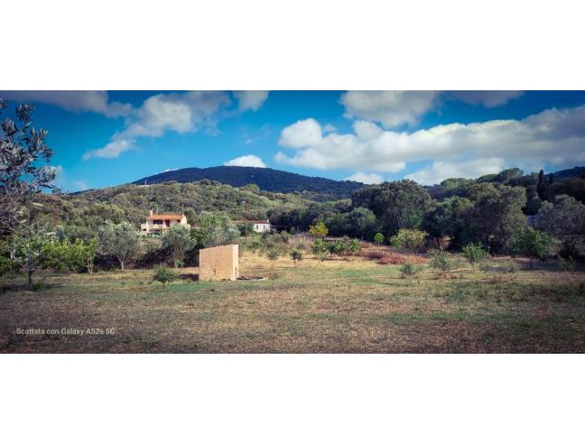 Anteprima foto 8 - Casa indipendente in Vendita a Olbia (Sassari)