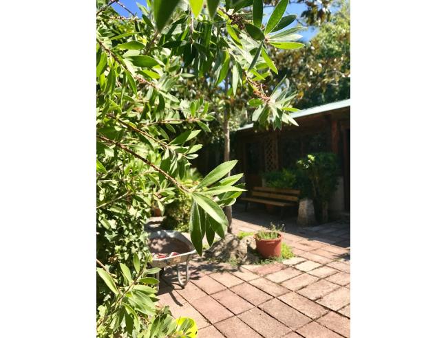 Anteprima foto 4 - Casa indipendente in Vendita a Olmedo (Sassari)