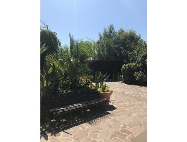 Anteprima foto 7 - Casa indipendente in Vendita a Olmedo (Sassari)