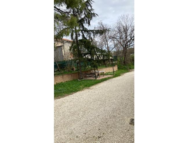 Anteprima foto 4 - Casa indipendente in Vendita a Ostra (Ancona)