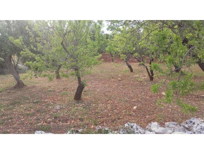 Anteprima foto 8 - Casa indipendente in Vendita a Ostuni (Brindisi)