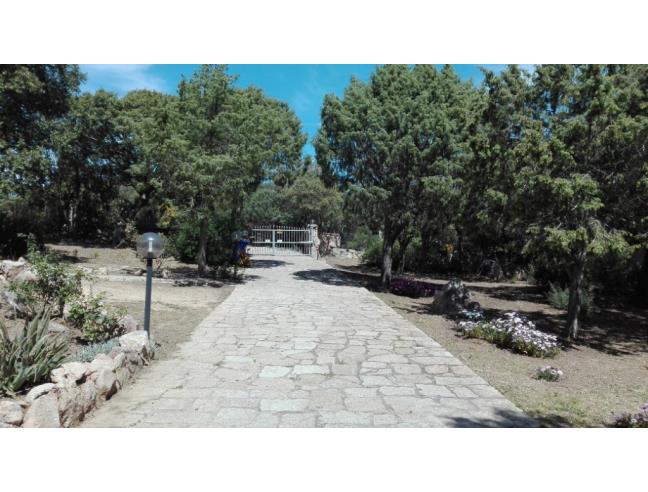 Anteprima foto 4 - Casa indipendente in Vendita a Palau (Sassari)