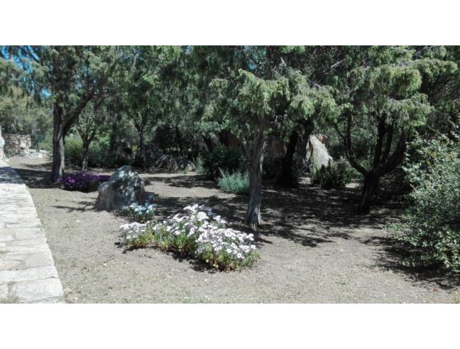 Anteprima foto 5 - Casa indipendente in Vendita a Palau (Sassari)