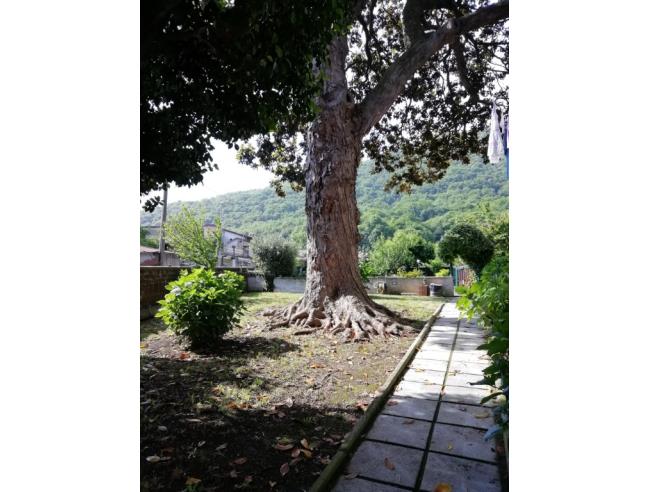 Anteprima foto 5 - Casa indipendente in Vendita a Paolisi (Benevento)