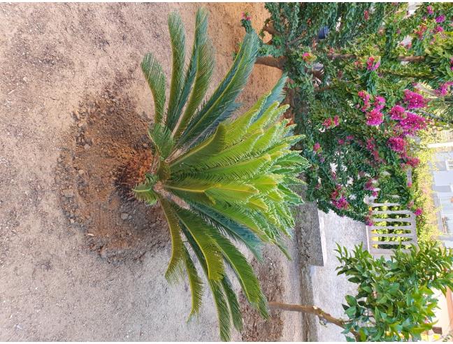 Anteprima foto 2 - Casa indipendente in Vendita a Partanna (Trapani)