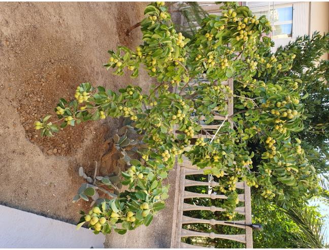 Anteprima foto 3 - Casa indipendente in Vendita a Partanna (Trapani)