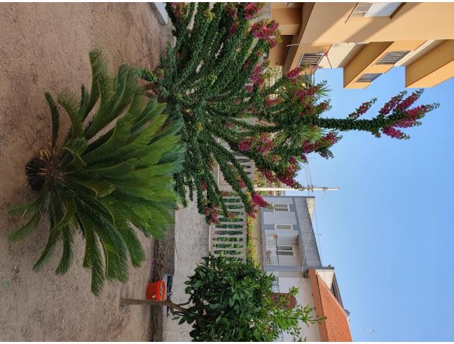 Anteprima foto 5 - Casa indipendente in Vendita a Partanna (Trapani)