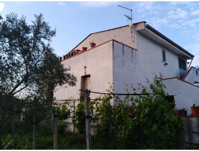 Anteprima foto 4 - Casa indipendente in Vendita a Partinico (Palermo)