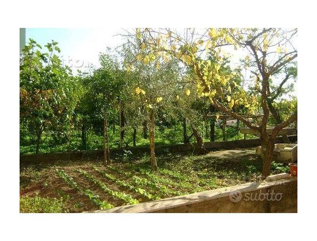 Anteprima foto 4 - Casa indipendente in Vendita a Paternopoli (Avellino)