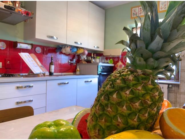 Anteprima foto 2 - Casa indipendente in Vendita a Pescia - Aramo