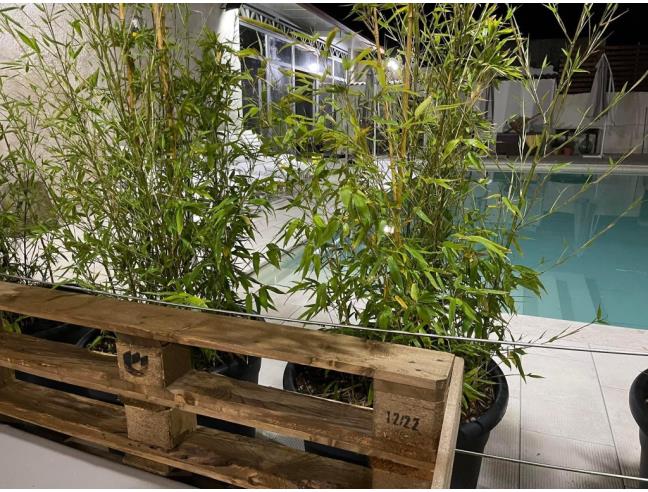 Anteprima foto 3 - Casa indipendente in Vendita a Petrosino (Trapani)