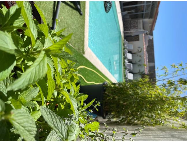 Anteprima foto 8 - Casa indipendente in Vendita a Petrosino (Trapani)