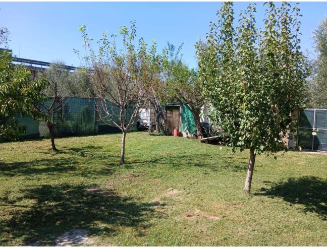 Anteprima foto 3 - Casa indipendente in Vendita a Pisa - Pisanova