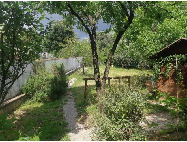 Anteprima foto 4 - Casa indipendente in Vendita a Poggio a Caiano (Prato)