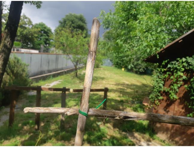 Anteprima foto 5 - Casa indipendente in Vendita a Poggio a Caiano (Prato)