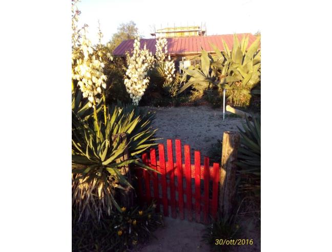 Anteprima foto 3 - Casa indipendente in Vendita a Pomezia - Torvaianica Alta