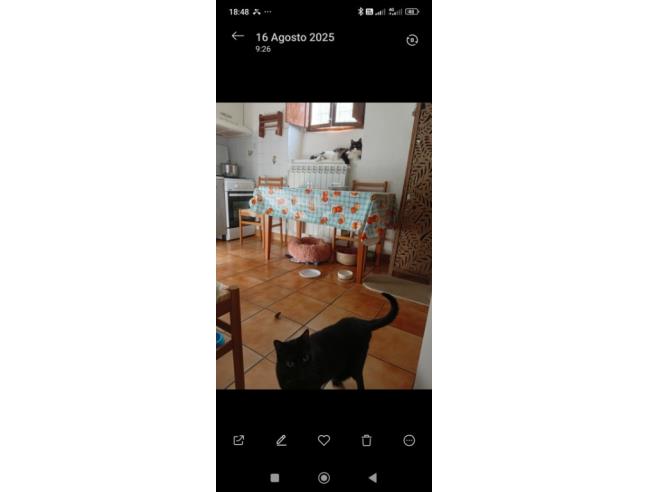 Anteprima foto 4 - Casa indipendente in Vendita a Porlezza (Como)