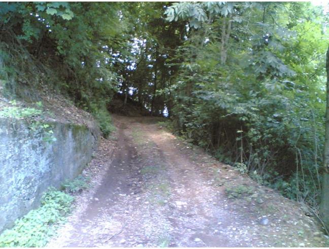 Anteprima foto 3 - Casa indipendente in Vendita a Portula - Castagnea