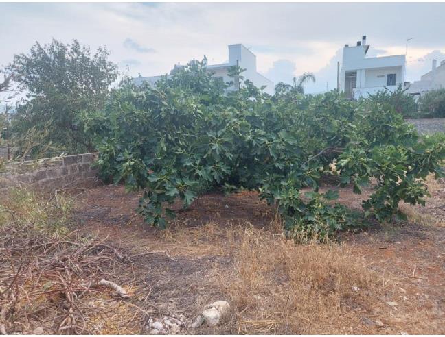 Anteprima foto 6 - Casa indipendente in Vendita a Racale (Lecce)