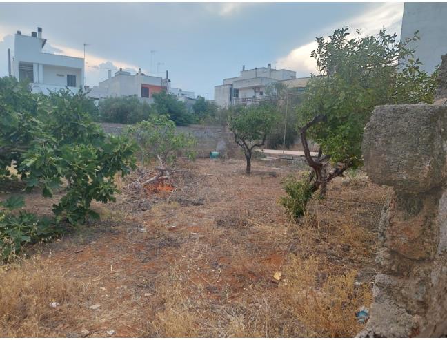 Anteprima foto 7 - Casa indipendente in Vendita a Racale (Lecce)