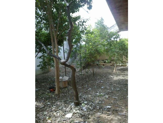Anteprima foto 7 - Casa indipendente in Vendita a Racale (Lecce)