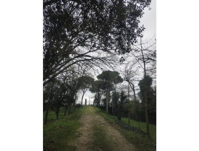 Anteprima foto 8 - Casa indipendente in Vendita a Ravenna - Madonna dell'Albero