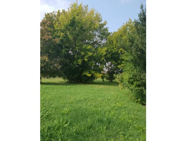 Anteprima foto 3 - Casa indipendente in Vendita a Ravenna - Torri