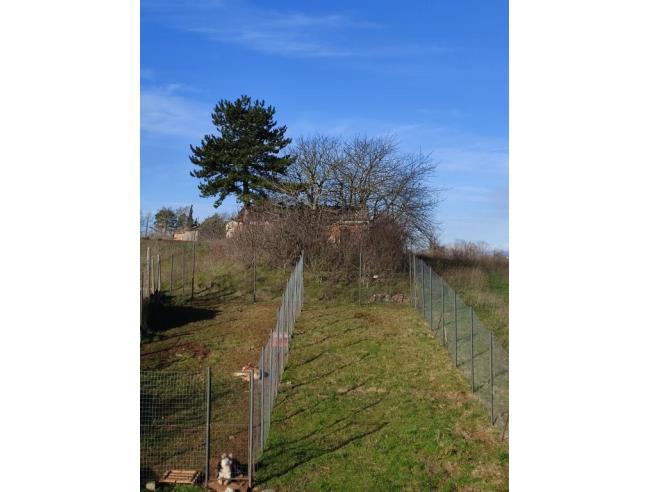 Anteprima foto 3 - Casa indipendente in Vendita a Riccia (Campobasso)