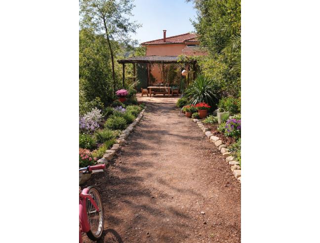 Anteprima foto 2 - Casa indipendente in Vendita a Rio - Nisporto