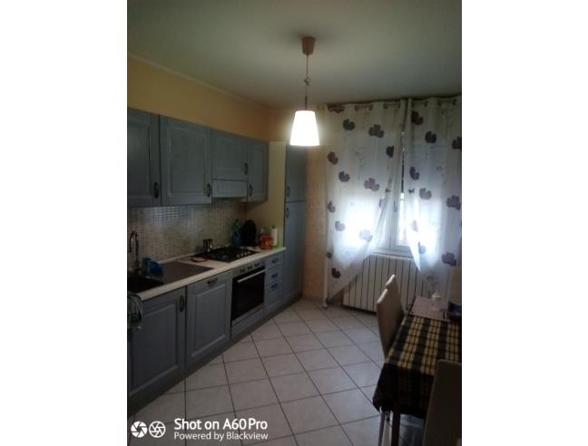 Anteprima foto 3 - Casa indipendente in Vendita a Riva del Po (Ferrara)