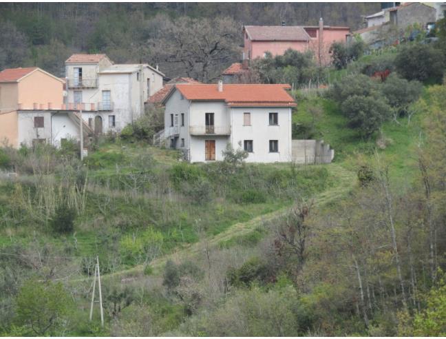 Anteprima foto 2 - Casa indipendente in Vendita a Rivello - Medichetta