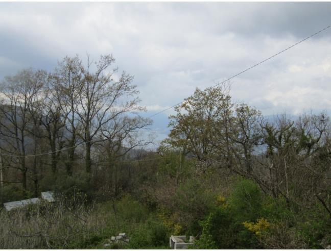 Anteprima foto 5 - Casa indipendente in Vendita a Rivello - Medichetta