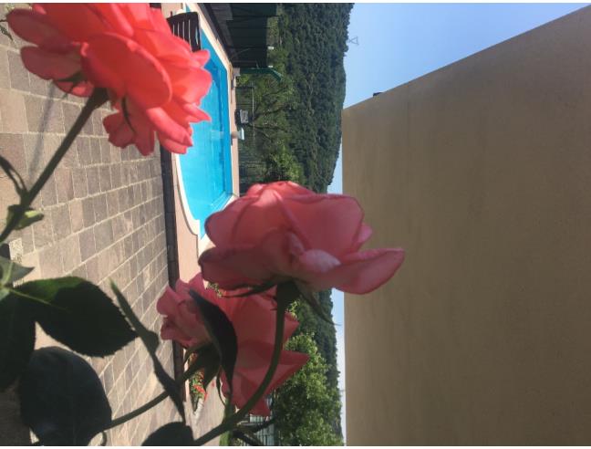 Anteprima foto 2 - Casa indipendente in Vendita a Roè Volciano (Brescia)