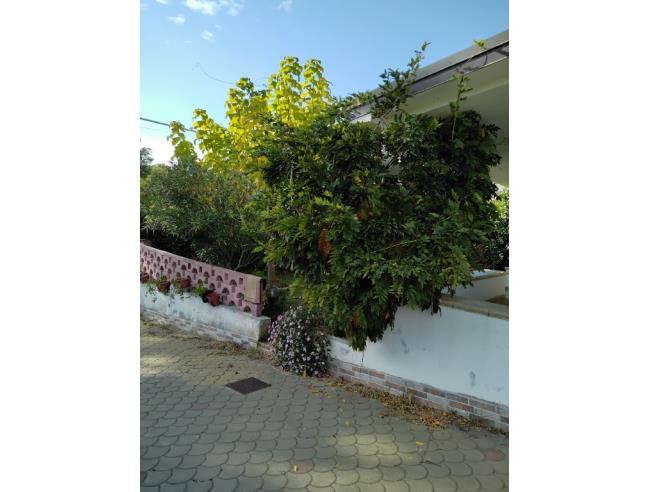 Anteprima foto 4 - Casa indipendente in Vendita a Rotonda (Potenza)