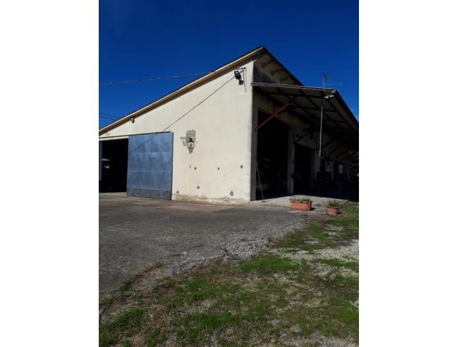 Anteprima foto 3 - Casa indipendente in Vendita a Roverbella (Mantova)