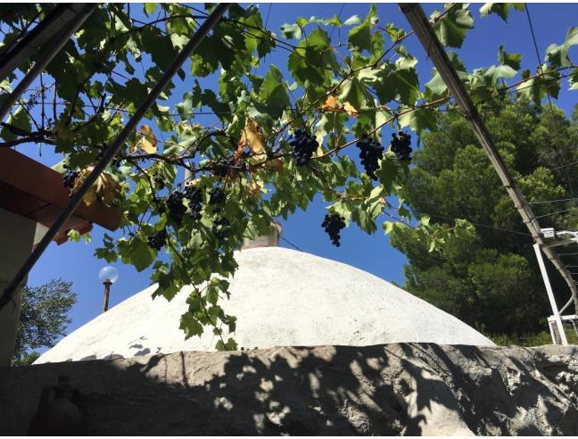 Anteprima foto 2 - Casa indipendente in Vendita a Ruvo di Puglia - Calendano