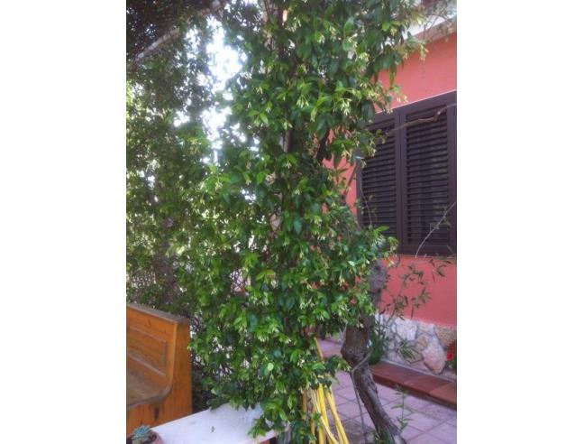 Anteprima foto 3 - Casa indipendente in Vendita a Ruvo di Puglia - Calendano