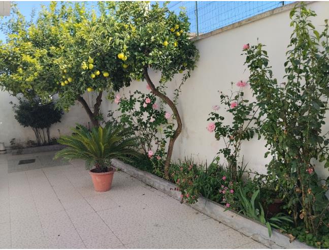 Anteprima foto 2 - Casa indipendente in Vendita a Salice Salentino (Lecce)