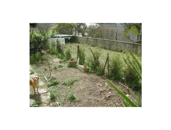 Anteprima foto 8 - Casa indipendente in Vendita a San Felice a Cancello - Botteghino