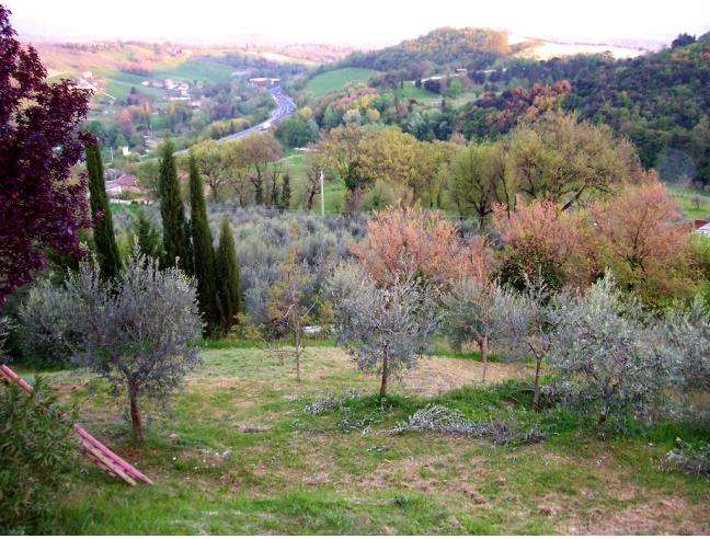 Anteprima foto 3 - Casa indipendente in Vendita a San Gemini (Terni)