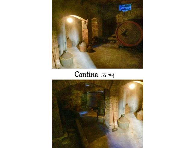 Anteprima foto 7 - Casa indipendente in Vendita a San Lorenzo in Campo (Pesaro e Urbino)